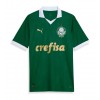 Camiseta de fútbol Palmeiras Primera Equipación 2024-25 - Hombre